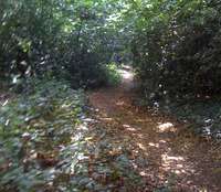 deep dene path